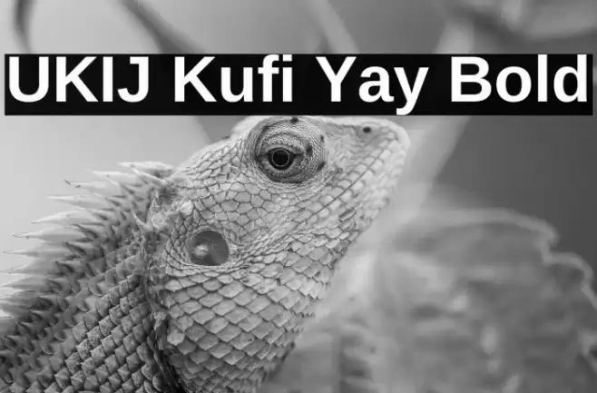 UKIJ Kufi Yay Bold Font examples