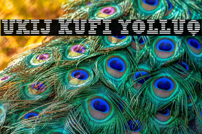 UKIJ Kufi Yolluq Example 1