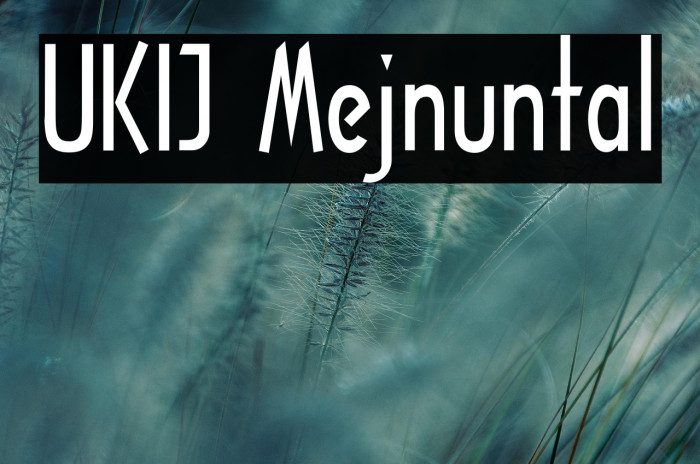 UKIJ Mejnuntal Example 1