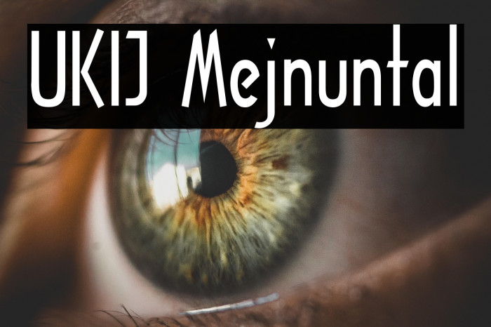 UKIJ Mejnuntal Example 2