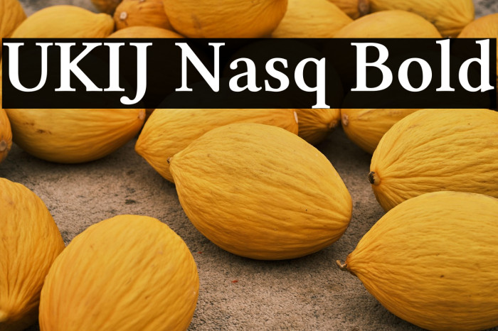 UKIJ Nasq Bold Example 1