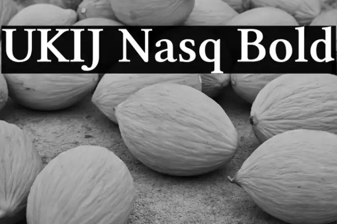 UKIJ Nasq Bold Font examples