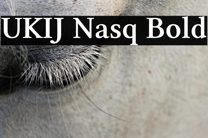 UKIJ Nasq Bold Example 2