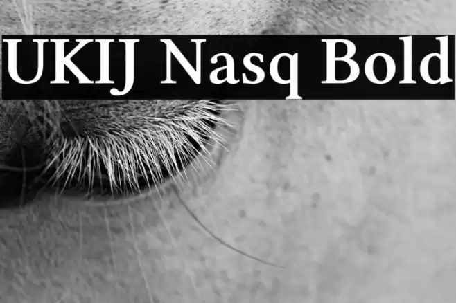 UKIJ Nasq Bold Font examples