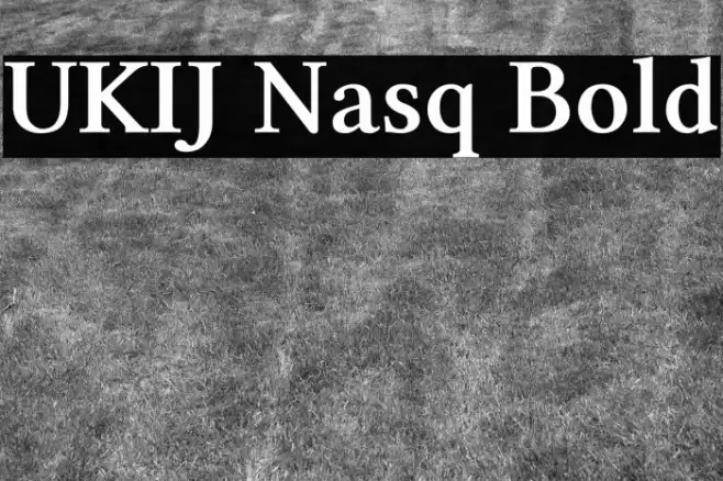 UKIJ Nasq Bold Font examples