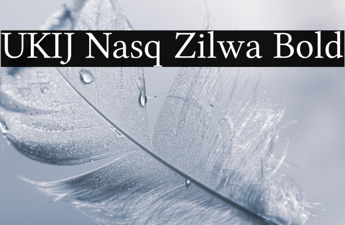 UKIJ Nasq Zilwa Bold Example 3