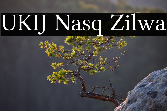 UKIJ Nasq Zilwa Example 1