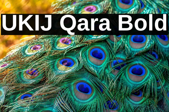 UKIJ Qara Bold Example 1