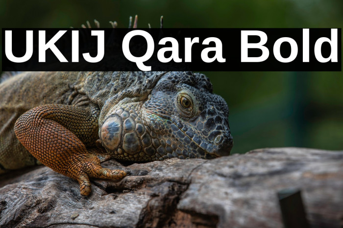 UKIJ Qara Bold Example 2