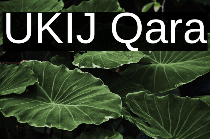 UKIJ Qara Example 1