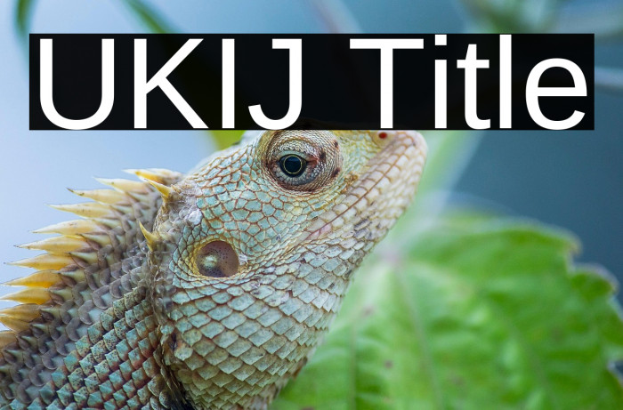 UKIJ Title Example 2