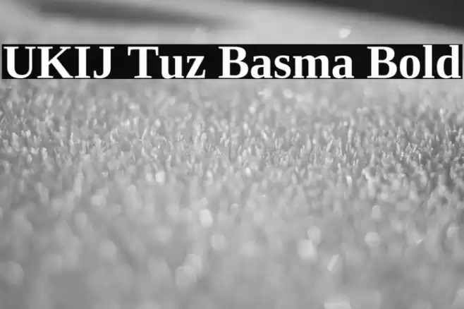 UKIJ Tuz Basma Bold Font examples