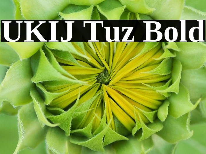 UKIJ Tuz Bold Example 1