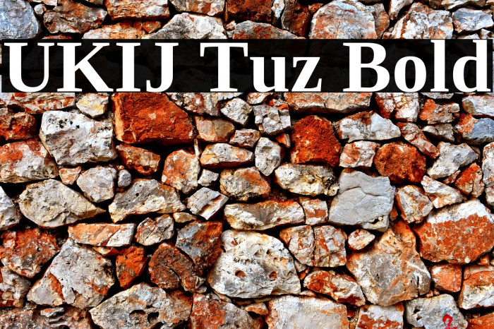 UKIJ Tuz Bold Example 2