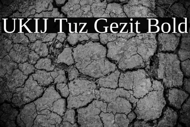 UKIJ Tuz Gezit Bold Font examples