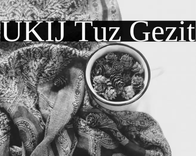 UKIJ Tuz Gezit Font examples