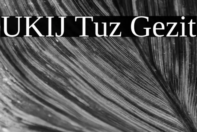 UKIJ Tuz Gezit Font examples