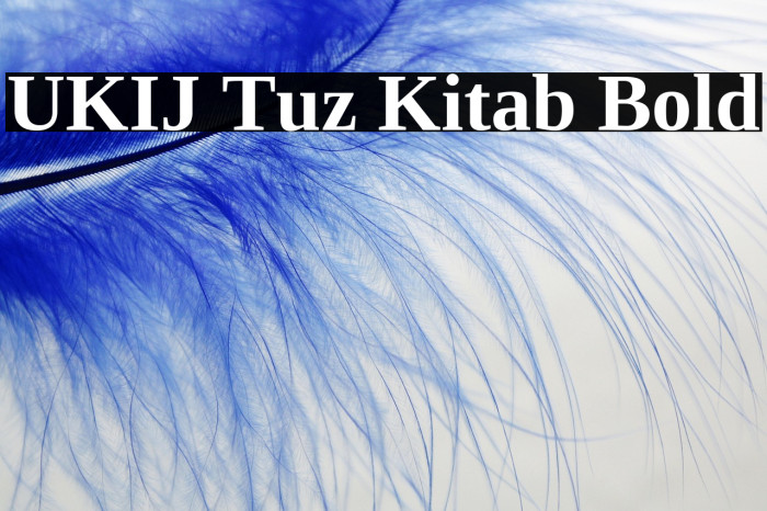 UKIJ Tuz Kitab Bold Example 3
