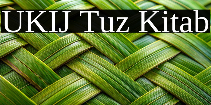 UKIJ Tuz Kitab Example 3