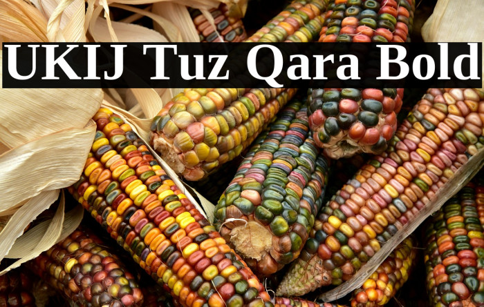 UKIJ Tuz Qara Bold Example 2