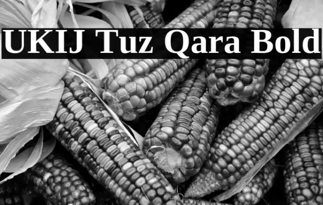 UKIJ Tuz Qara Bold Font examples