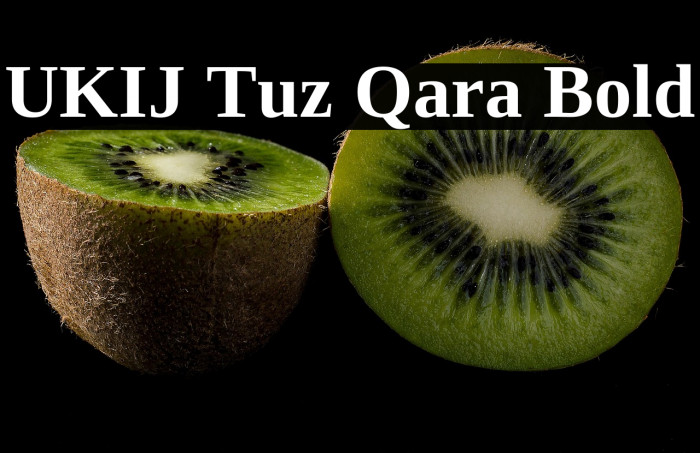 UKIJ Tuz Qara Bold Example 3