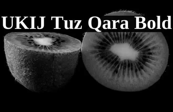 UKIJ Tuz Qara Bold Font examples