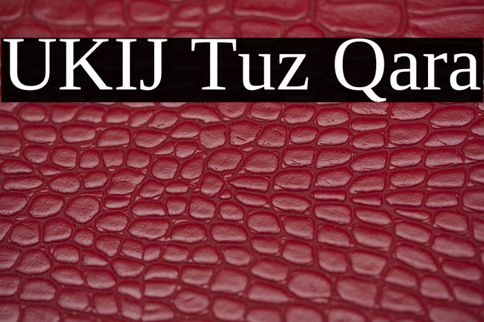 UKIJ Tuz Qara Example 1