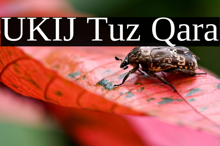 UKIJ Tuz Qara Example 3