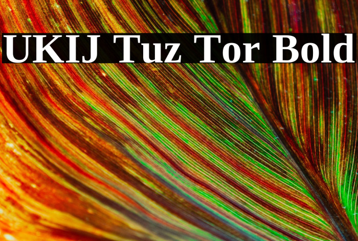 UKIJ Tuz Tor Bold Example 1