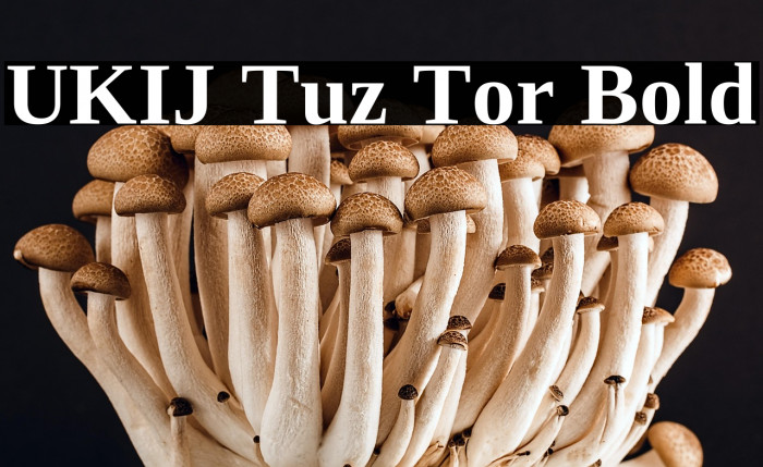UKIJ Tuz Tor Bold Example 2