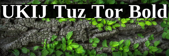 UKIJ Tuz Tor Bold Example 3
