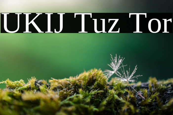 UKIJ Tuz Tor Example 1