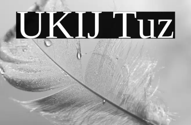 UKIJ Tuz Font examples