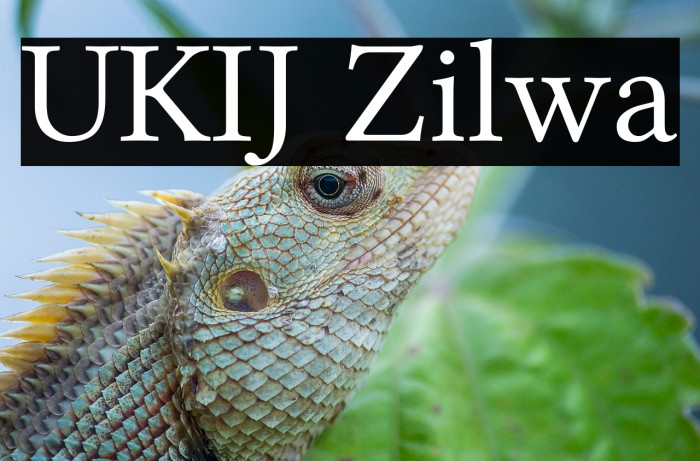 UKIJ Zilwa Example 2