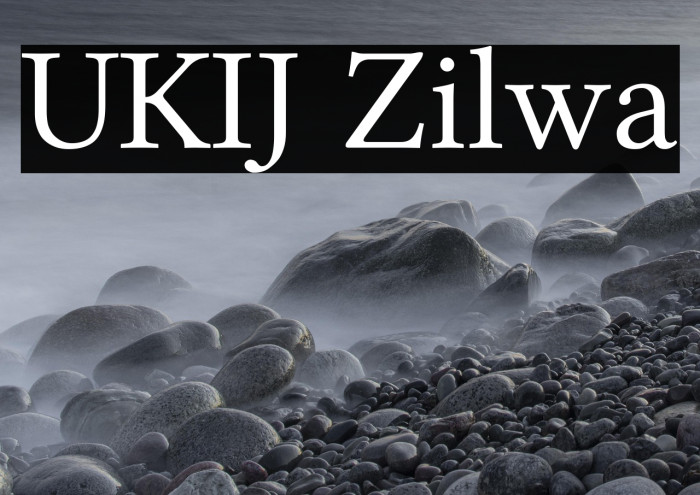 UKIJ Zilwa Example 3