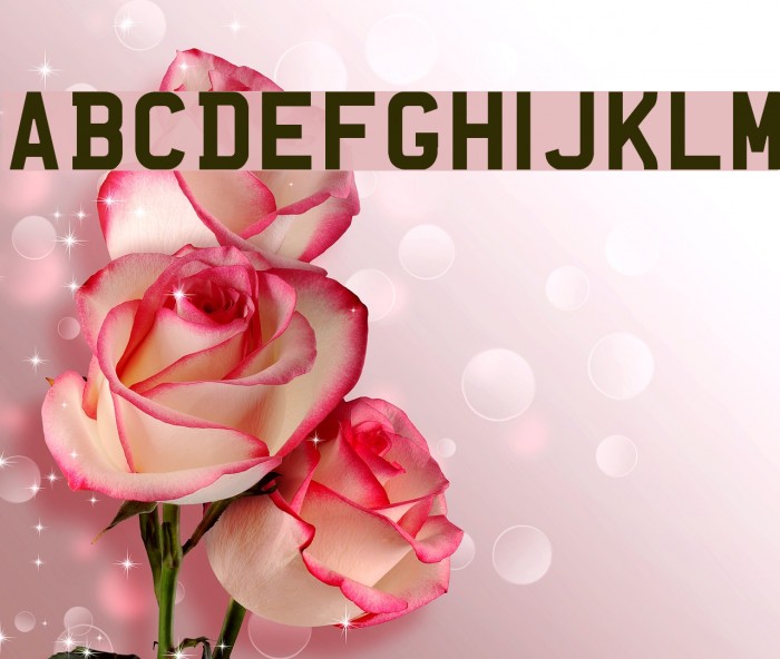 UKNumberPlate Font examples