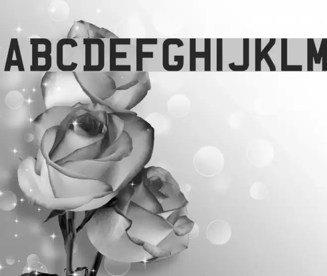 UKNumberPlate Font examples