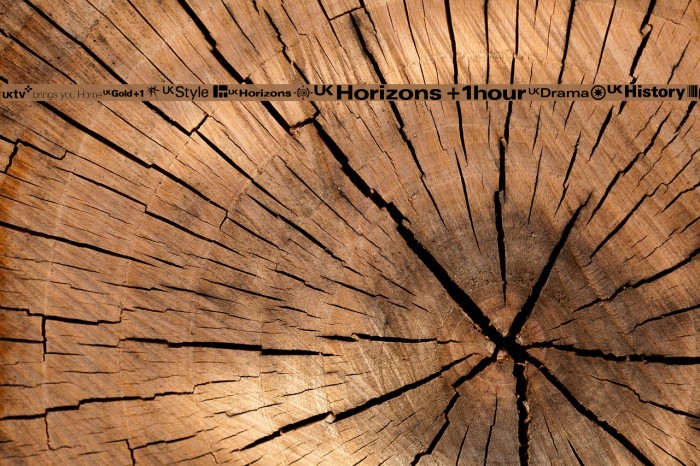 UKtv Family Logos Example 2