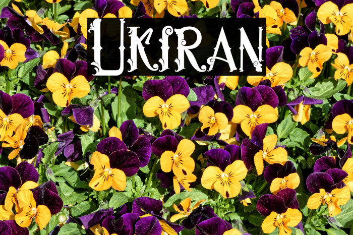 Ukiran Font examples