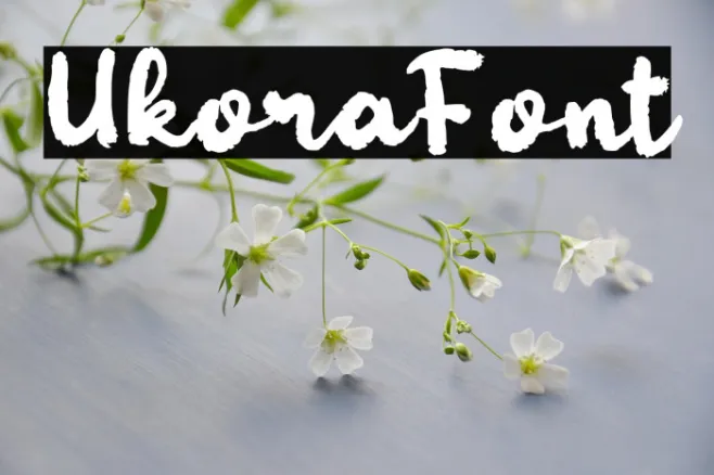 Ukora Example 1