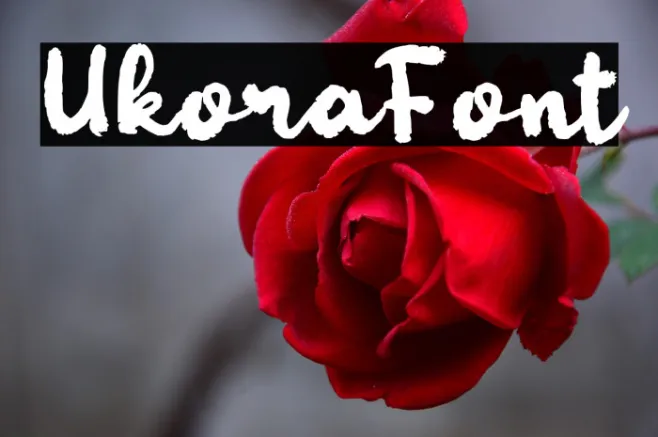 Ukora Example 3