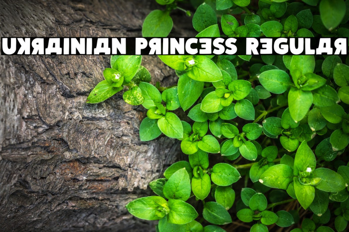Ukrainian Princess Regular Font examples