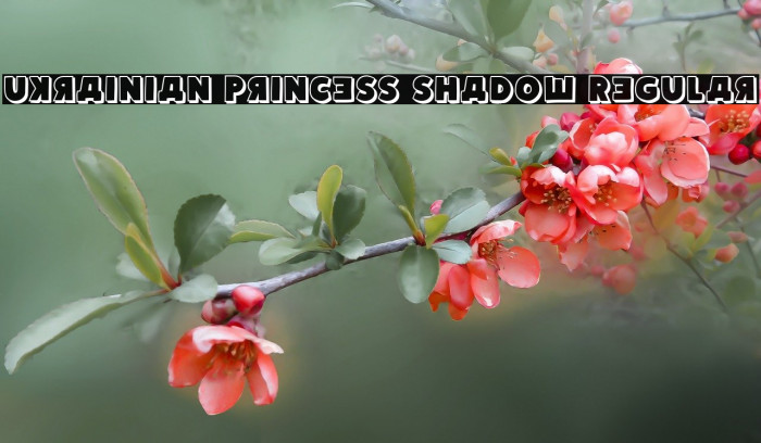 Ukrainian Princess Shadow Regular Font examples