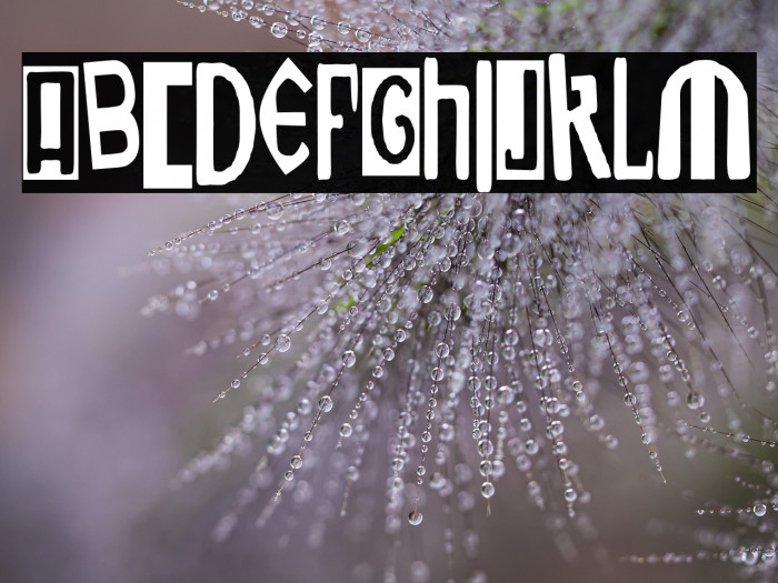 Ukranian White Punks Example 3