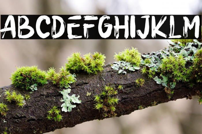 ULTRABRUSH Example 2