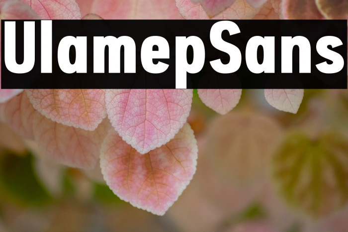 Ulamep Sans Example 1
