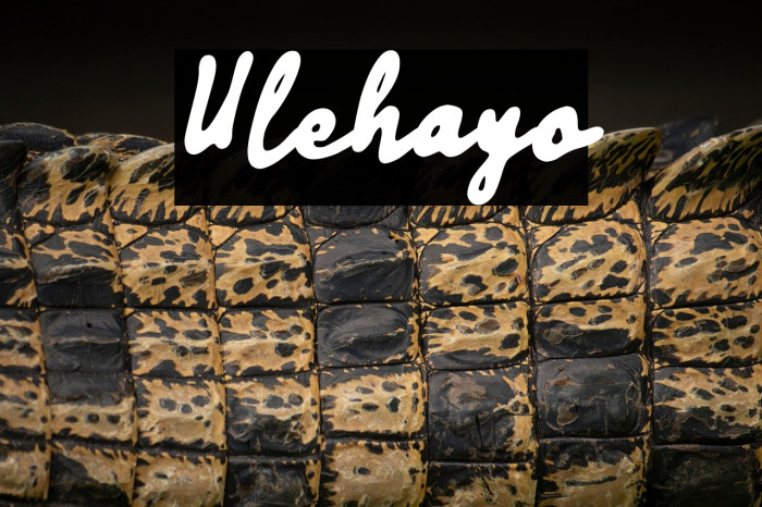 Ulehayo Example 1