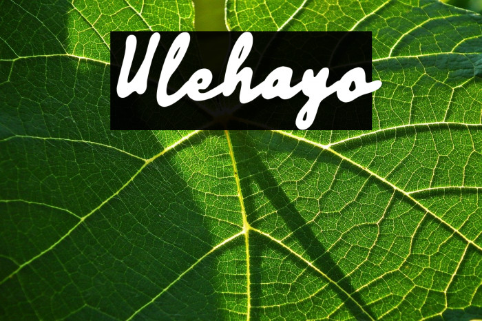 Ulehayo Example 2