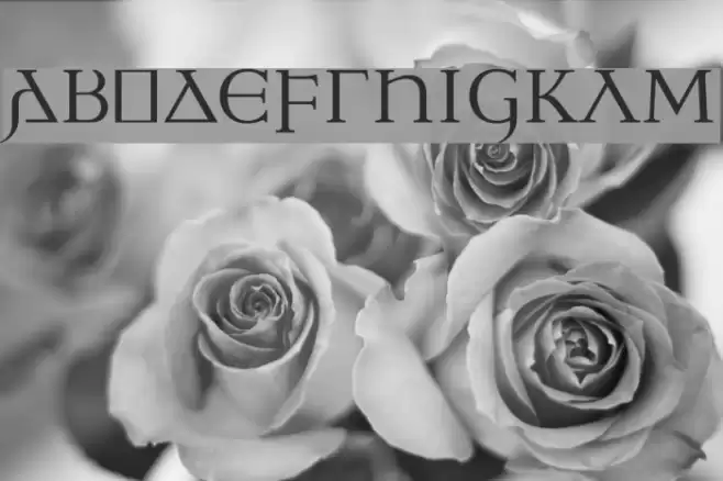 Ulfilas Font examples